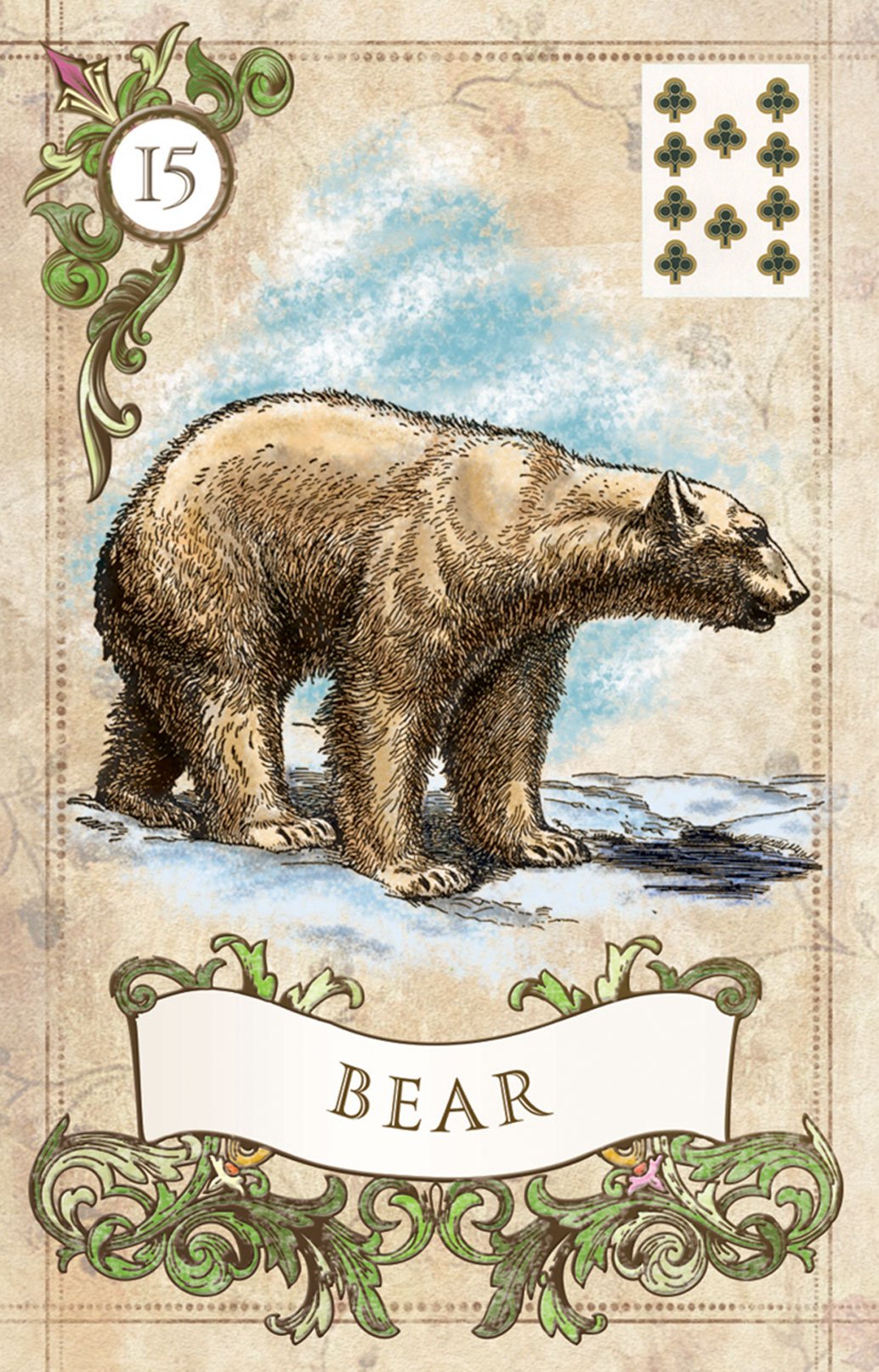 Медведь карта. 
